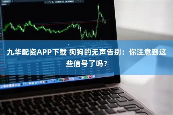 九华配资APP下载 狗狗的无声告别：你注意到这些信号了吗？