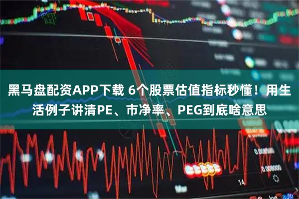 黑马盘配资APP下载 6个股票估值指标秒懂！用生活例子讲清PE、市净率、PEG到底啥意思
