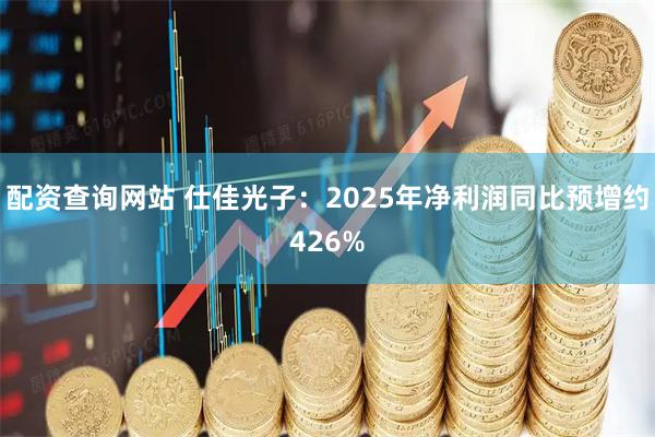 配资查询网站 仕佳光子：2025年净利润同比预增约426%
